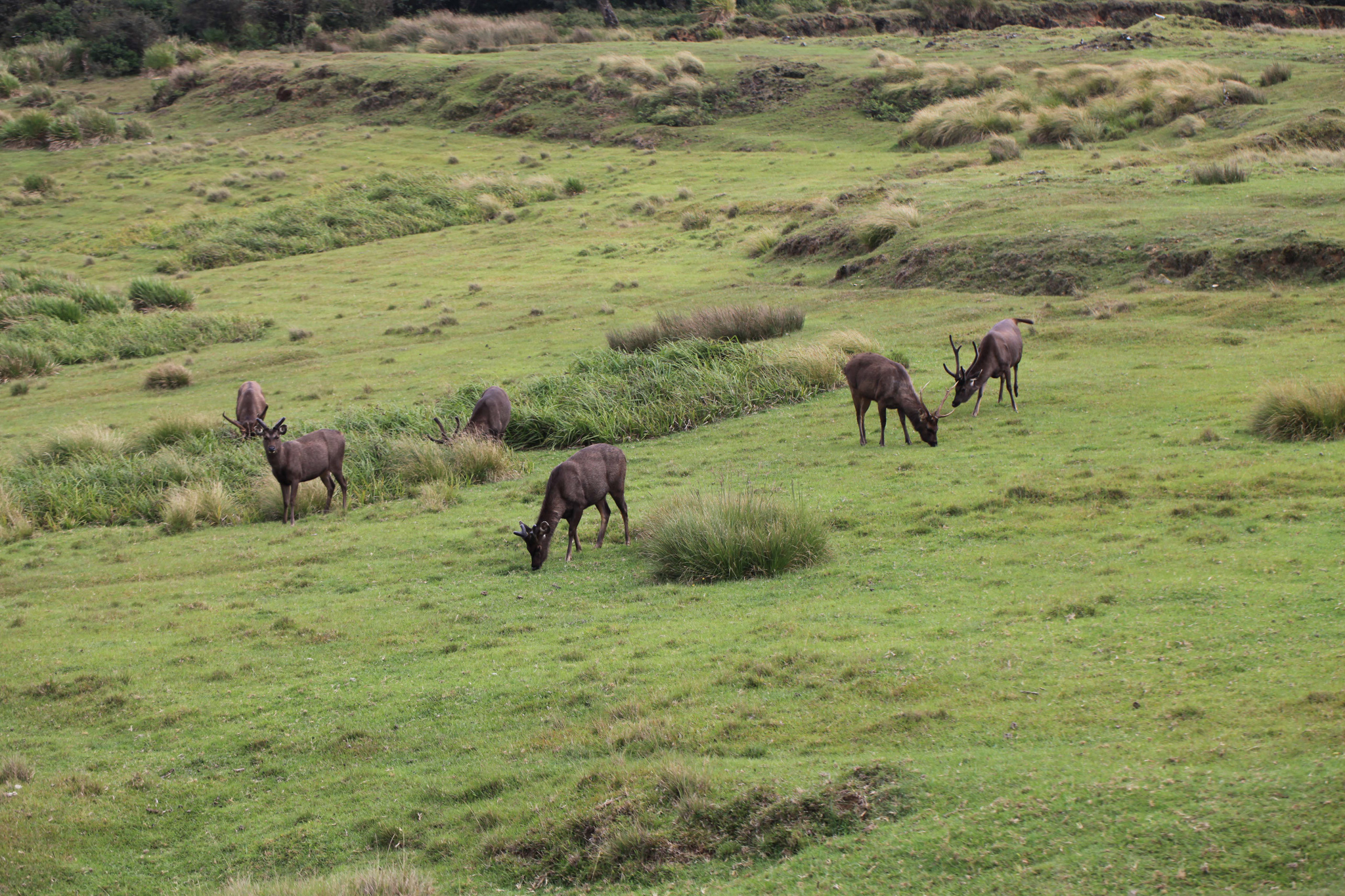 Horton Plains National Park